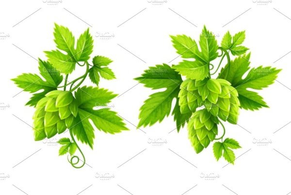 Хмель мультяшный