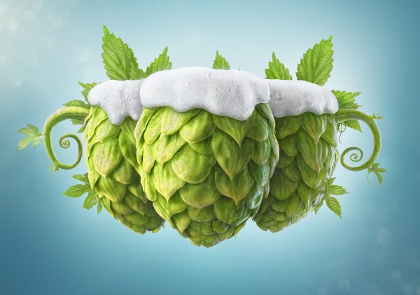 Хмель вектор