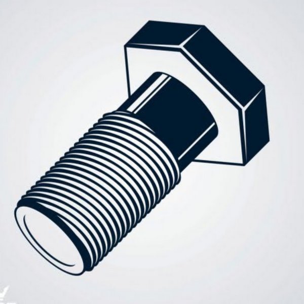 Болтик вектор