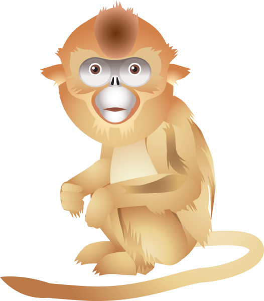 Обезьянка на прозрачном фоне