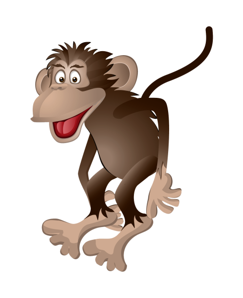 Обезьяна на белом фоне