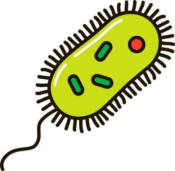 Бактерии без фона
