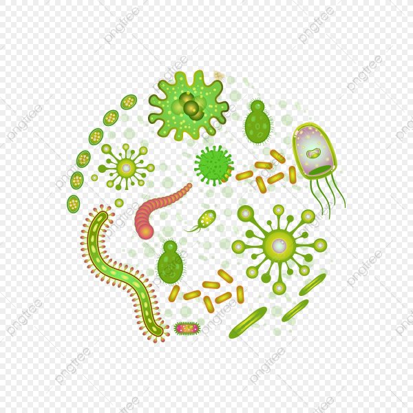 Инфекция вектор