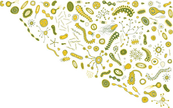 Микроорганизмы бактерии вирусы фон