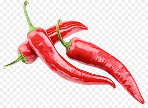 Перчик Чили вектор