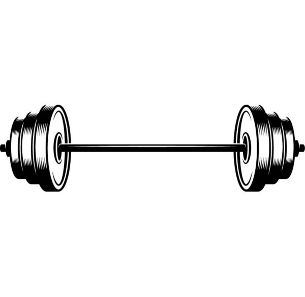 Штанга вектор