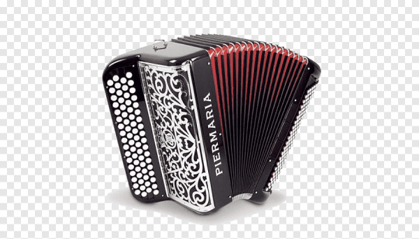 Аккордеон, баян, бандонеон, гармонь