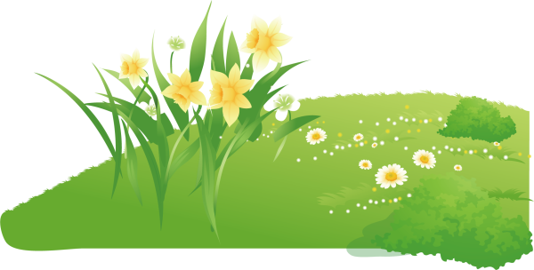 Поляна с цветами вектор