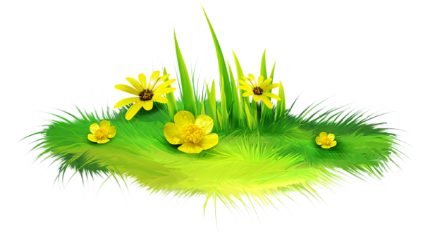 Сказочная травка