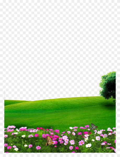 Лужайка с цветами