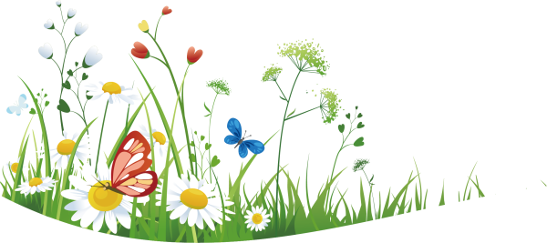 Лето клипарт