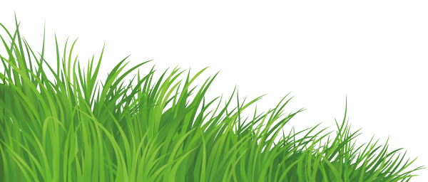 Травка на белом фоне