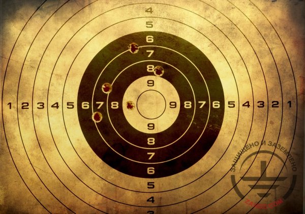 Мишень для пулевой стрельбы