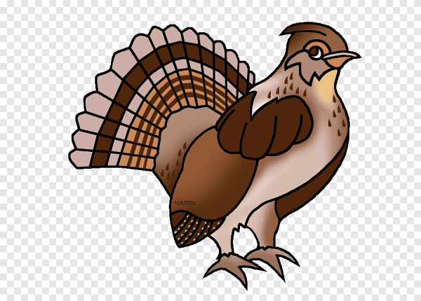 Глухарь мультяшный