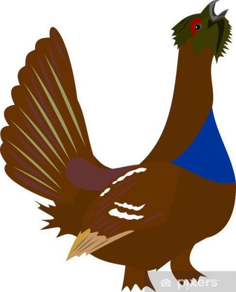 Глухарь мультяшный