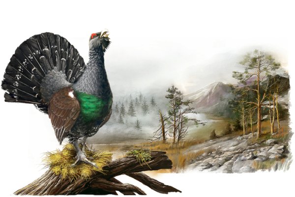 Глухарь символ