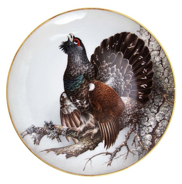 Глухарь для детей