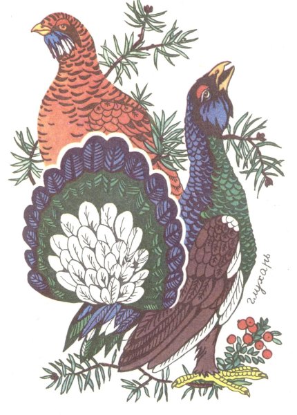 Тетерев вектор