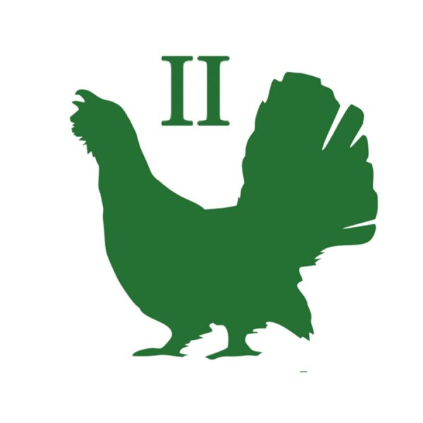 Тетерев для детей