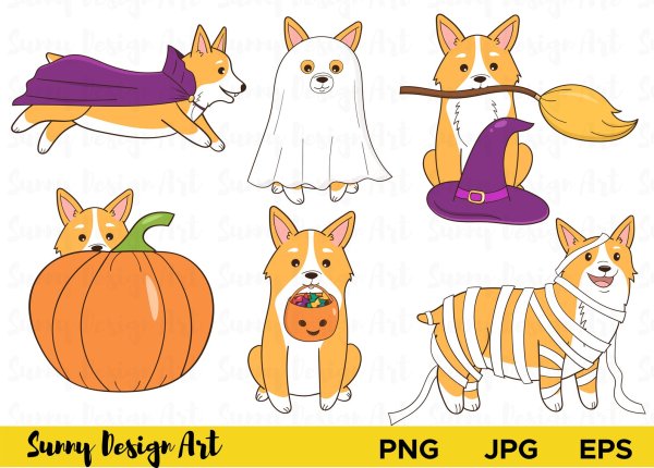 Корги на задних лапах в векторе