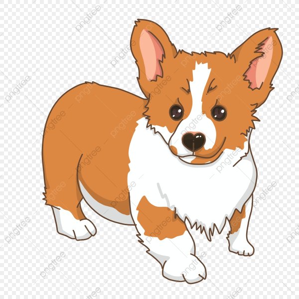 Вельш корги пемброк рисунок