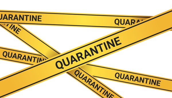 Карантин PNG