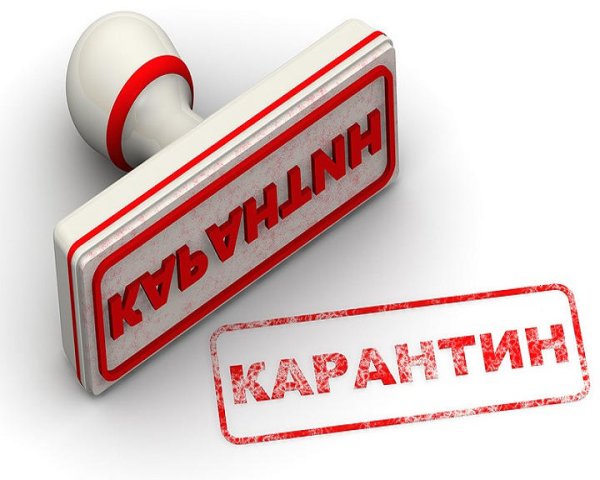 Ограничительные мероприятия