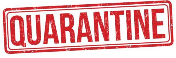 Смайлик карантин