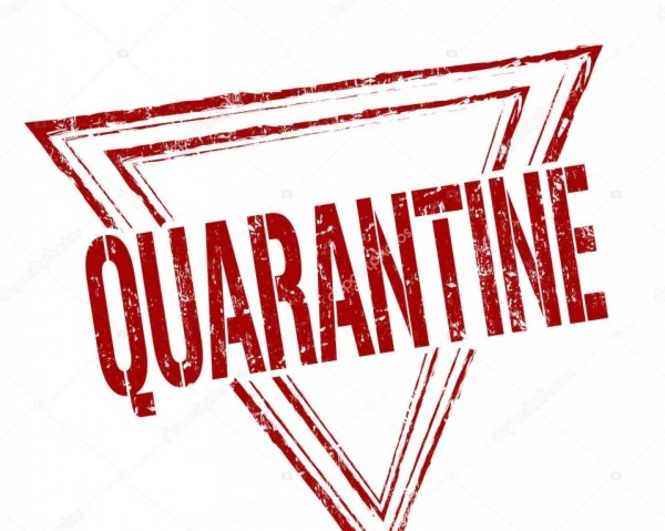 Карантин красивая надпись