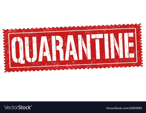 Карантин без фона