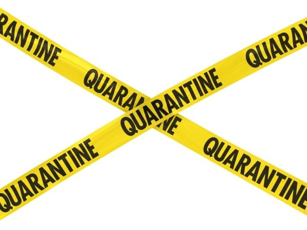Лента карантин