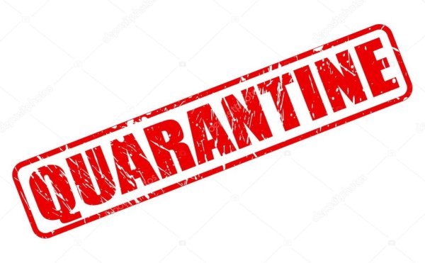 Карантин печать