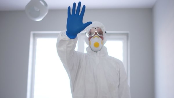 Ава на карантине