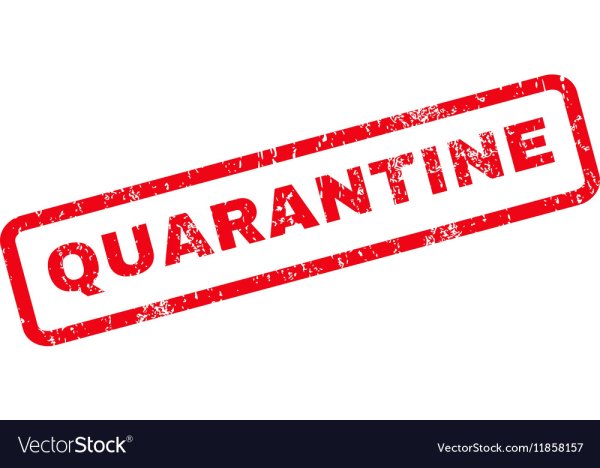 Карантин печать