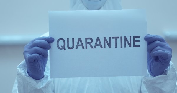 Карантин мультяшный