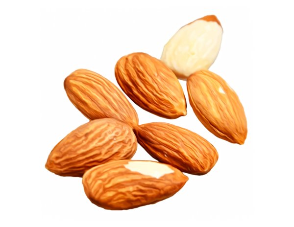 Миндаль орех вектор