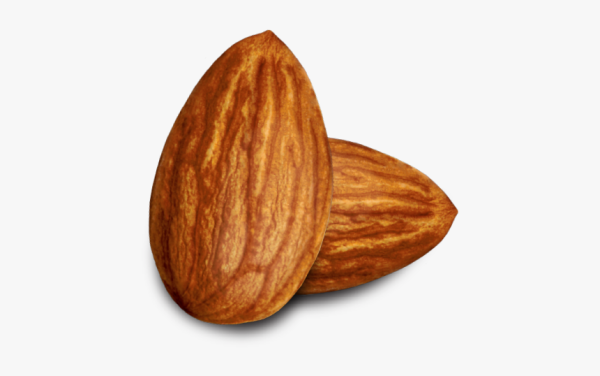 Миндаль вектор