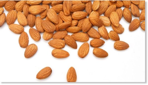 Фундук вид сверху