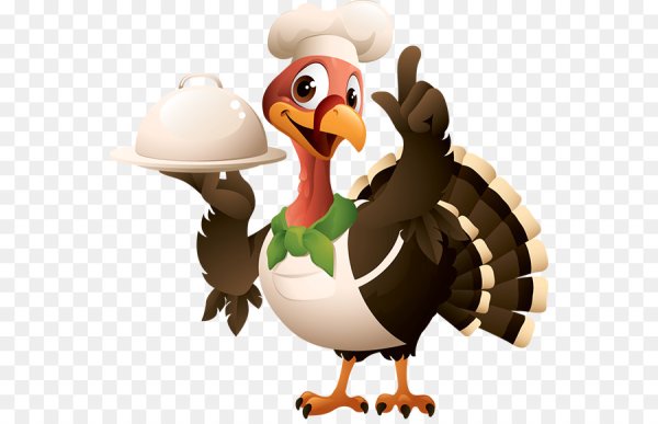 Turkey cartoon индейка