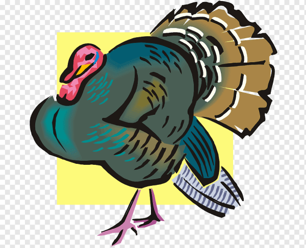Индюк вектор