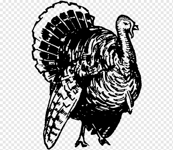 Индюк черно белый