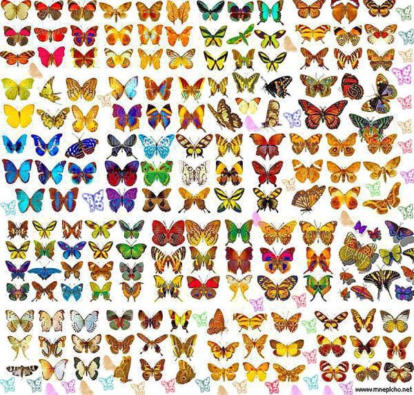 Векторный клипарт слоями