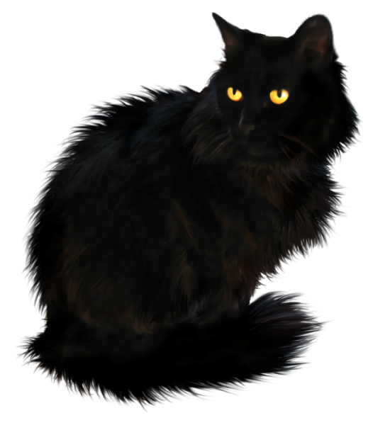 Черный кот на прозрачном фоне