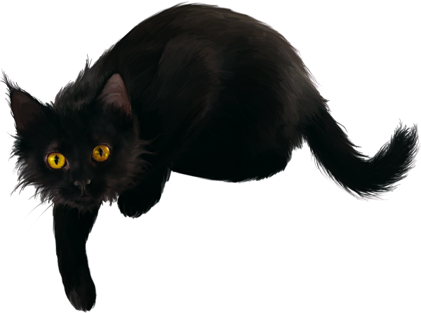 Черная кошка на прозрачном фоне