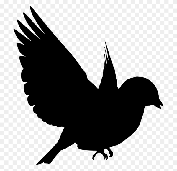 Силуэт птицы