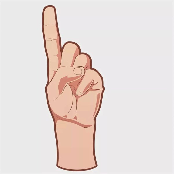 Указательный палец