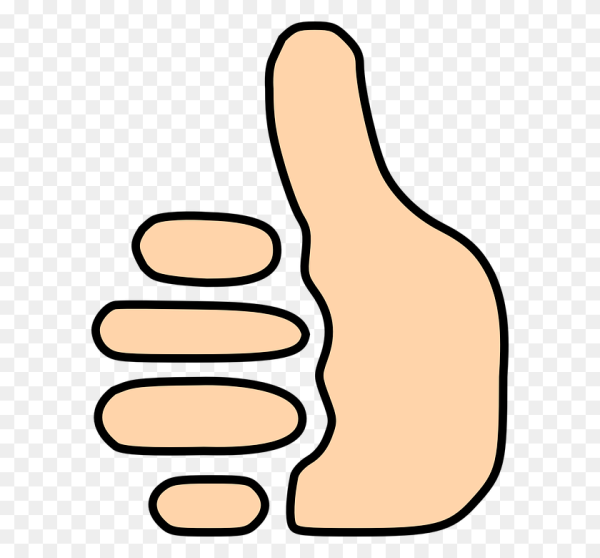 Отпечаток правой руки