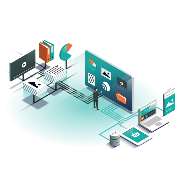 Информационная система вектор