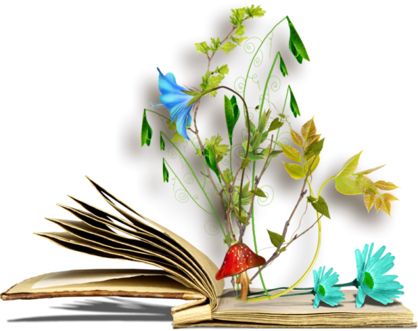 Книга и цветы на прозрачном фоне