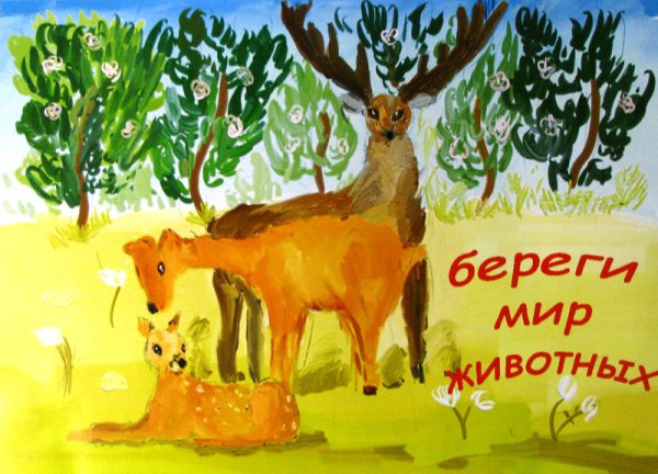 Плакат берегите животных